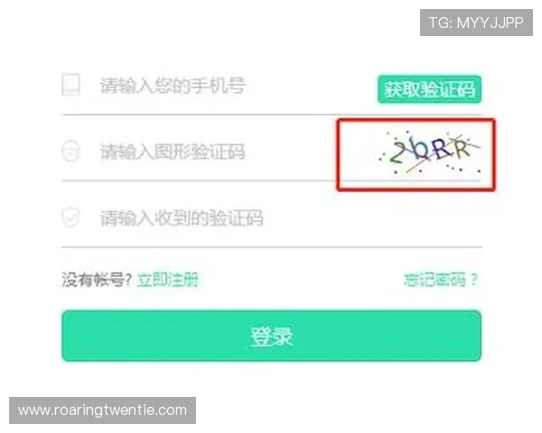 雷泽体育会员登录过程中遇到验证码无法输入的解决方案